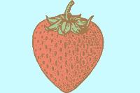 Illustrated strawberry